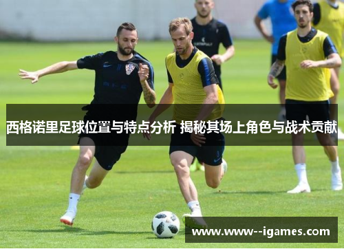 西格诺里足球位置与特点分析 揭秘其场上角色与战术贡献
