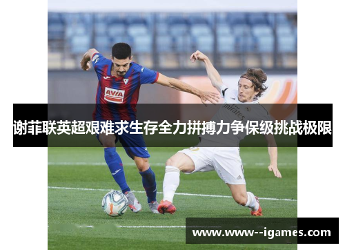 谢菲联英超艰难求生存全力拼搏力争保级挑战极限