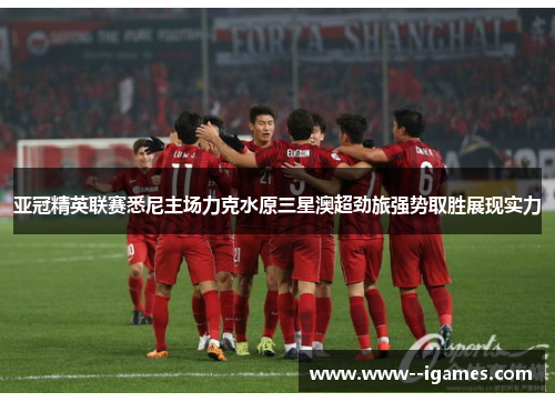亚冠精英联赛悉尼主场力克水原三星澳超劲旅强势取胜展现实力 亚冠精英联赛悉尼主场力克水原三星澳超劲旅强势取胜展现实力